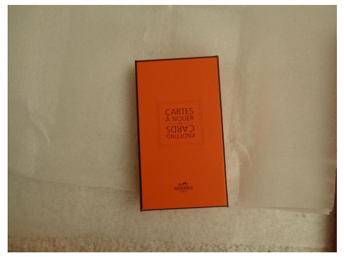 Regali VIP Hermès arancione - vista 4