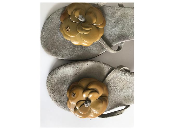 Chanel Sandali infradito camelie in camoscio Grigio Senape - vista 11