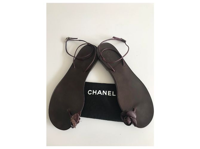 Chanel Camellia Toe Post Thong Sandals Brown - view 19