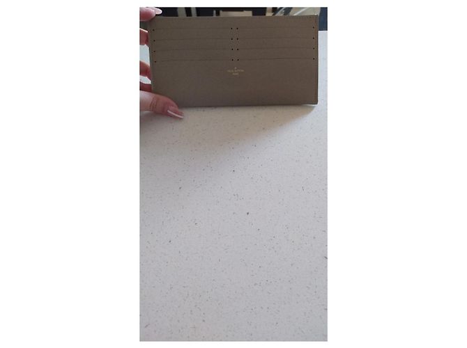 Pochette Félicie Louis Vuitton Felicie Kartenetui Epi Leder Grau - Ansicht 2
