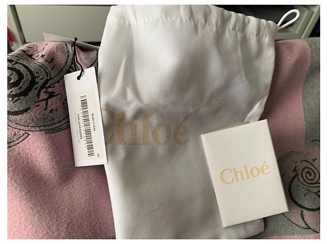 Borsa a mano Chloé in pelle pesca - vista 11