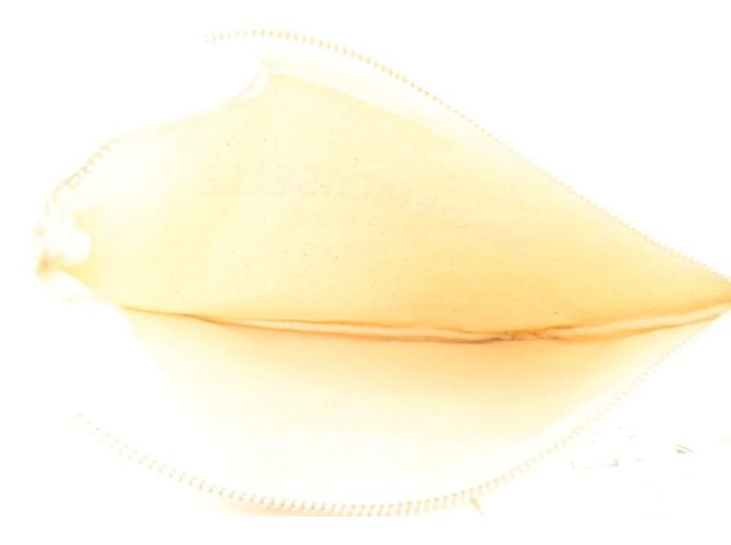 Chanel Pochette Rara Mademoiselle - vista 10
