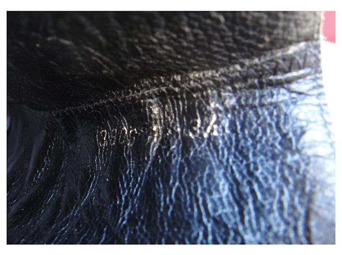 Stivaletti Chelsea Kenzo Dakota scamosciati neri 36 Nero - vista 5