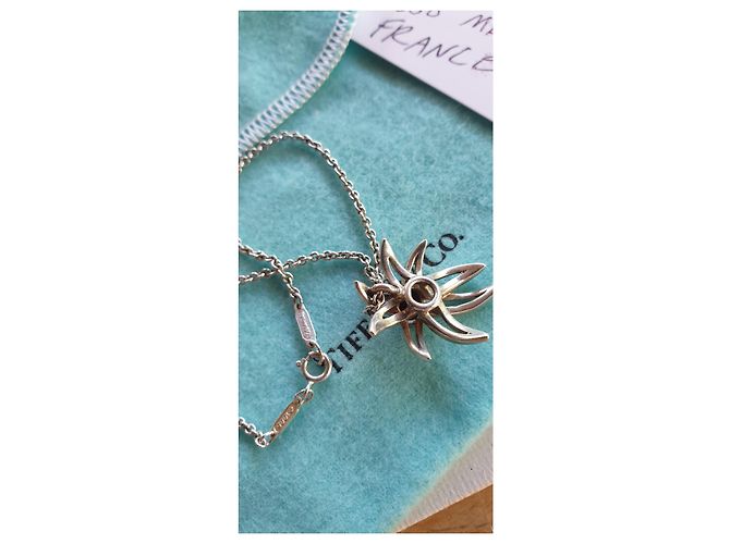 Collana con pendente Tiffany & Co Fireworks in argento e onice Nero - vista 3