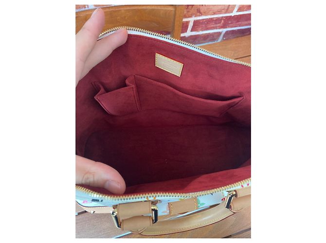 Bolsa de mão Louis Vuitton Alma MM Multicor em Tecido - vista 15