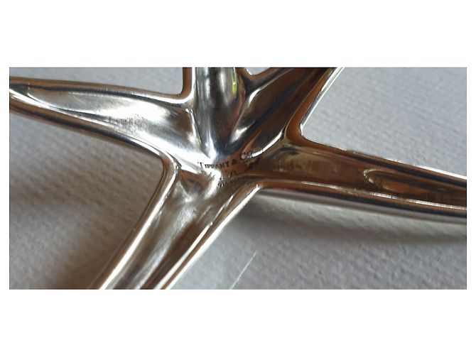 Tiffany & Co Peretti Brosche in Silber 925 - Ansicht 6