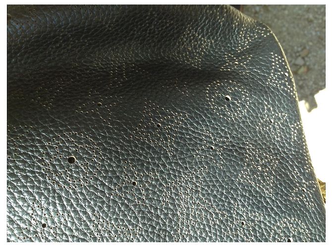 Borsa a mano Louis Vuitton Mahina GM in pelle nera Nero - vista 11