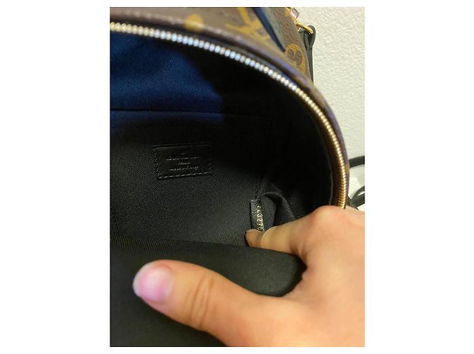 Louis Vuitton Palm Springs Mini Rucksack Braun Leder - Ansicht 12