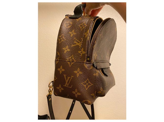 Louis Vuitton Palm Springs Mini Rucksack Braun Leder - Ansicht 2