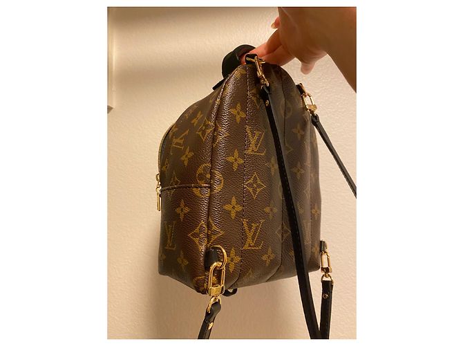 Louis Vuitton Palm Springs Mini Rucksack Braun Leder - Ansicht 3
