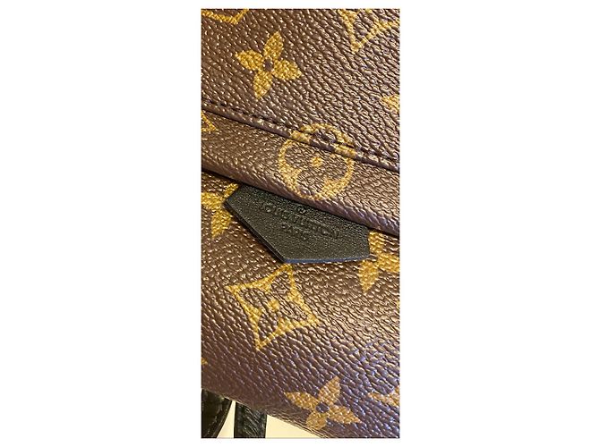 Louis Vuitton Palm Springs Mini Rucksack Braun Leder - Ansicht 6