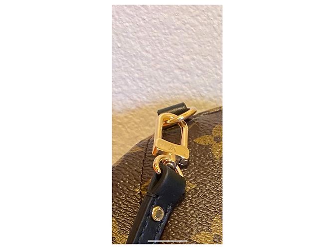 Louis Vuitton Palm Springs Mini Rucksack Braun Leder - Ansicht 8