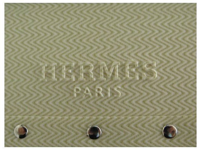 Hermès RARO CUSTODIA HERMES FAUBOURG EXPRESS LINE PM CHEVRON BEIGE LIMITED HARD CASE - vista 11
