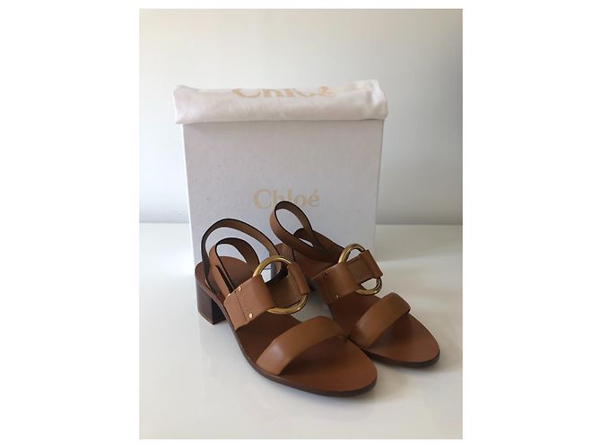 Sandali Chloé in pelle marrone con logo dorato - vista 11