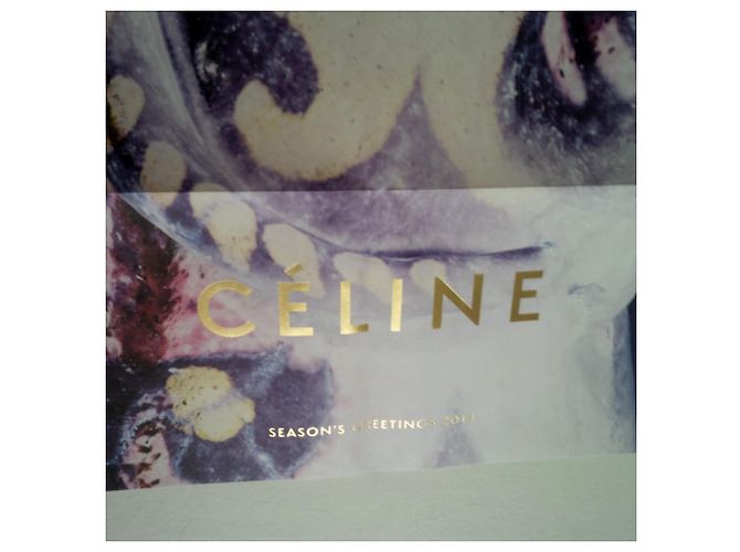 Phoebe Philo Céline Art Poster. Scrittura dorata. 58 X 40 cm. new. - vista 10