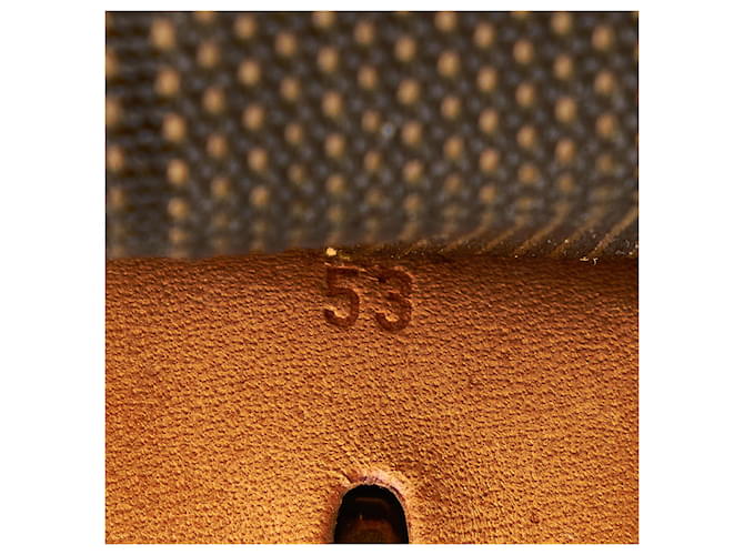 Louis Vuitton Brown Monogram Satellite 53 Marrone - vista 9