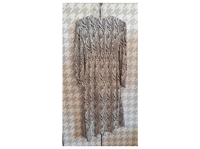 Isabel Marant Maxikleid aus Seide Zebra Print Schwarz Weiß - Ansicht 2