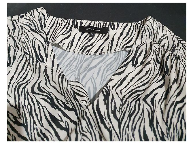 Isabel Marant Maxikleid aus Seide Zebra Print Schwarz Weiß - Ansicht 8