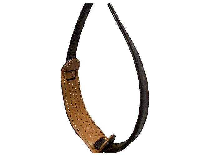 Louis Vuitton Amazon Borsa a Spalla Monogram Marrone - vista 5