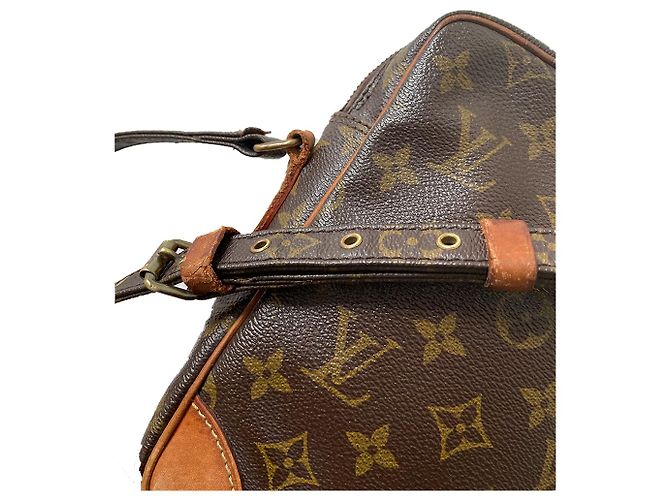 Louis Vuitton Amazon Borsa a Spalla Monogram Marrone - vista 9