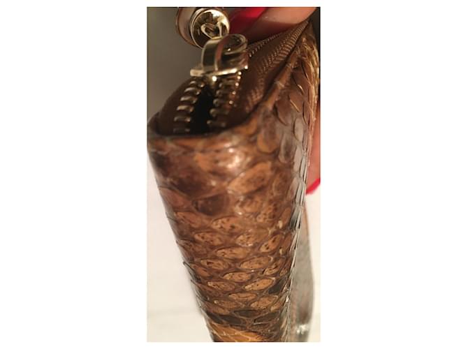 Cartera Gucci Python Marrón y Naranja de Cuero Castaño Impresión de pitón Gold hardware - vista 6