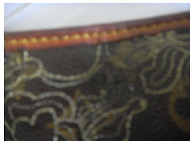 borsa in pizzo oro louis vuitton Gold hardware - vista 6