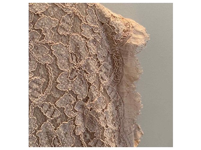 Diane Von Furstenberg DvF Wanda Spitzenkleid in Nude Fleisch - Ansicht 3