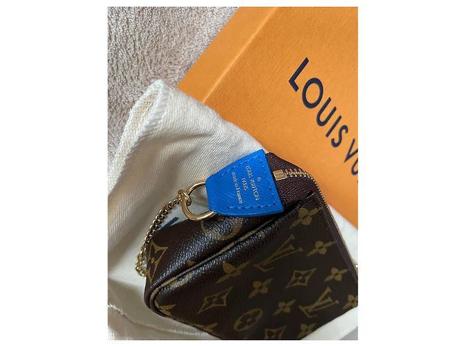 Louis vuitton mini pochette natalizie 2019 Vivienne Venezia Marrone - vista 4