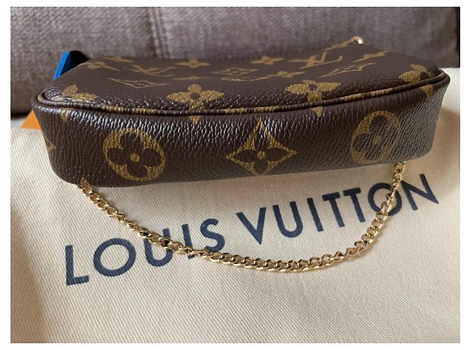 Louis vuitton mini pochette natalizie 2019 Vivienne Venezia Marrone - vista 5