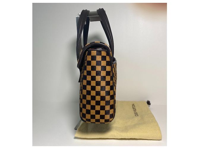 Louis Vuitton Damier Sauvage Lionne Marrone Nero - vista 2