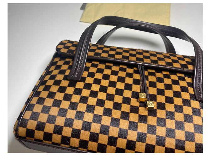 Louis Vuitton Damier Sauvage Lionne Marrone Nero - vista 4