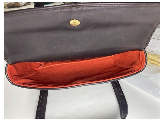 Louis Vuitton Damier Sauvage Lionne Marrone Nero - vista 6