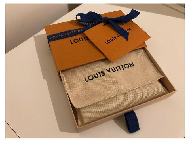 RARO ORGANIZZATORE DA TASCA LOUIS VUITTON CLOUD - M69679 Blu - vista 3