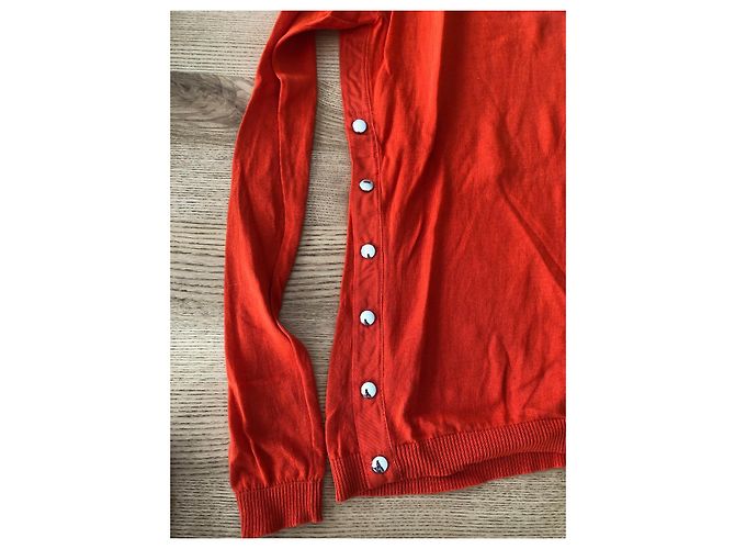 sportmax code - vue 3