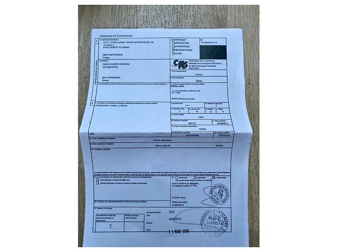 Gucci Gia Schnürschuhe aus Pythonleder 35.5 Mehrfarben - Ansicht 7