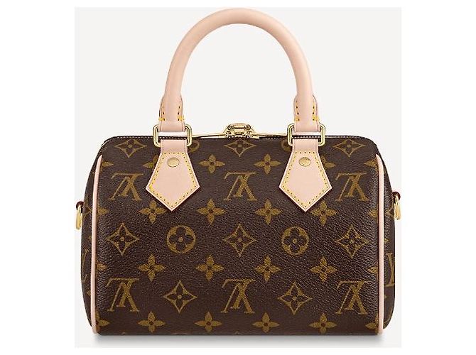 Louis Vuitton LV Speedy badouliere 20 Marrone - vista 3