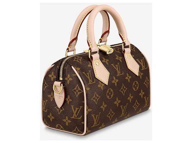 Louis Vuitton LV Speedy badouliere 20 Marrone - vista 5