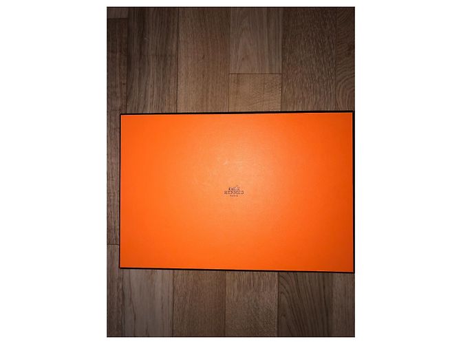 Hermès OZ Black Silvery Beige - view 9