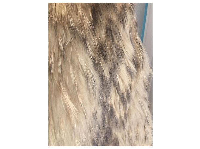 Sprung Frères Coats, Outerwear - view 8
