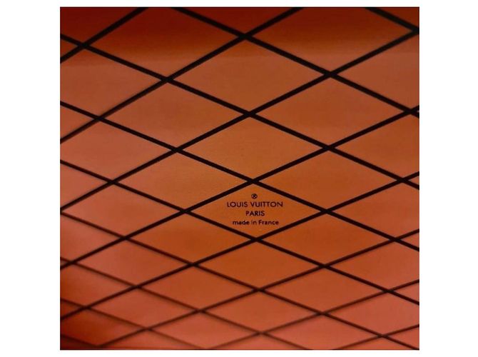 Louis Vuitton Petite Malle Epi Borsa a tracolla Clutch Multicolore - vista 7