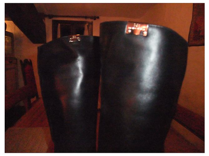 Elisabetta Franchi Lederstiefel Schwarz Größe 40 - Ansicht 2