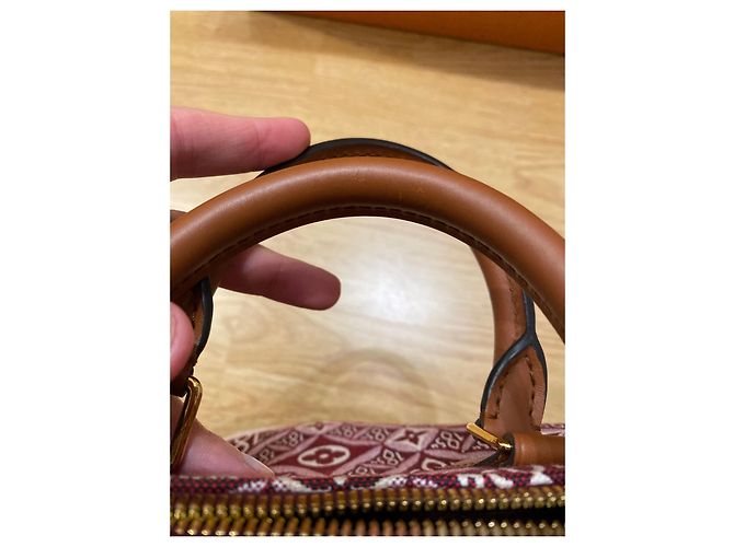 Louis Vuitton Speedy 25 Since 1854 Borsa a mano in pelle marrone chiaro - vista 6