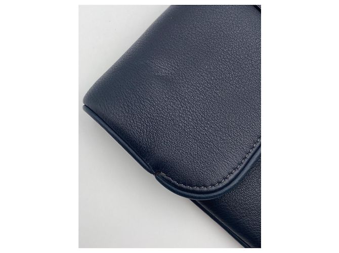 Clutch Slim Louis Vuitton Sofia Coppola blu Blu scuro - vista 11
