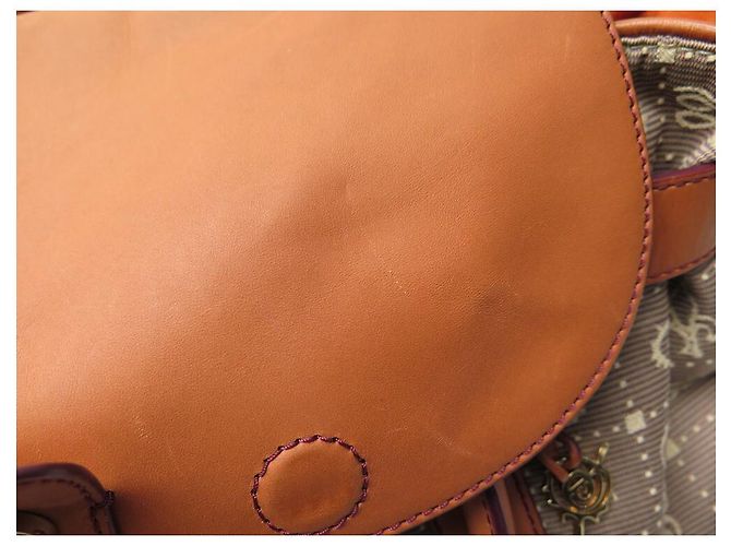 BOLSA LANCEL DALICHIC + BOLSA DALIFAB LONA DALIGRAMME - vista 16