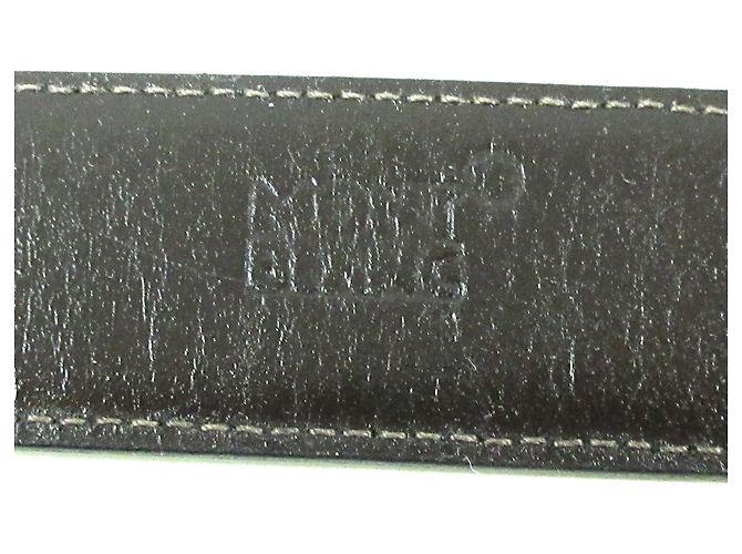 Ceinture Montblanc - vue 4