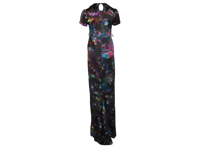 Erdem Aurelia Maxi Abito in Seta Stampata in Seta Multicolor Stampa python - vista 2