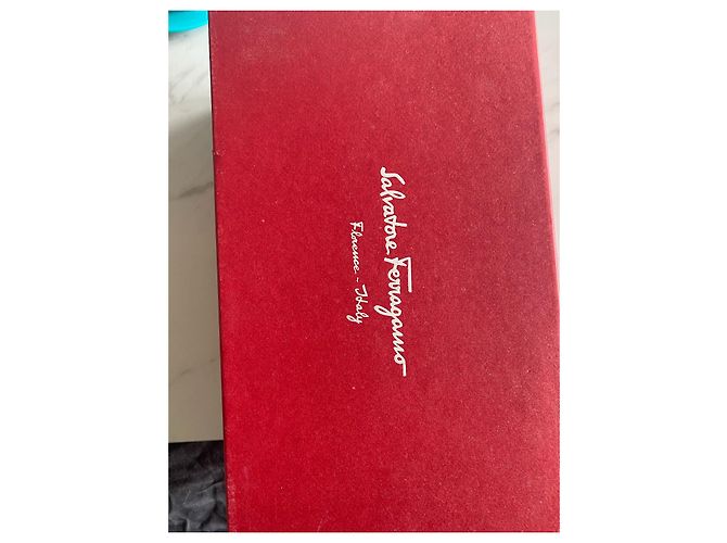 Salvatore Ferragamo Strass argento grigio Silver hardware - vista 8