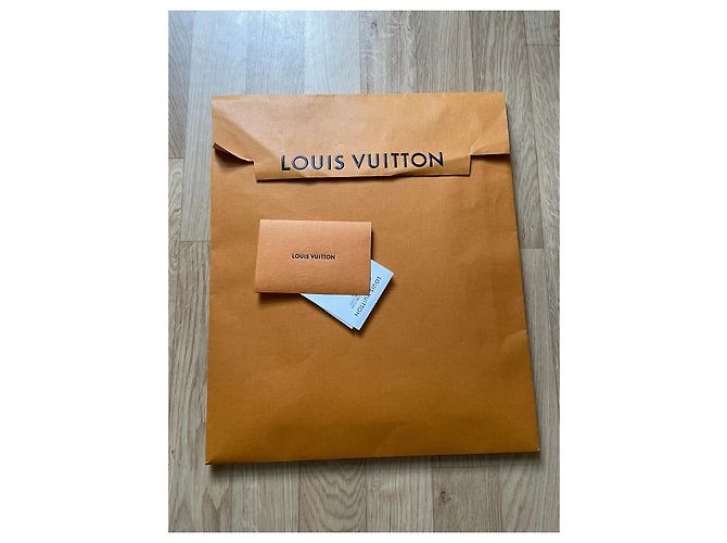 Louis Vuitton Alla rovescia Blu chiaro Turchese - vista 9
