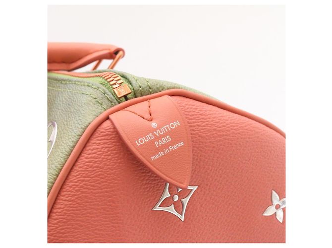 LOUIS VUITTON MASTERS Da Vinci Mona Lisa Speedy 30 Borsa a mano M43002 auth 24394 Rosa - vista 18