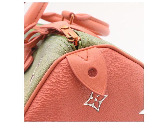 LOUIS VUITTON MASTERS Da Vinci Mona Lisa Speedy 30 Borsa a mano M43002 auth 24394 Rosa - vista 19